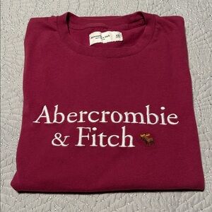 Abercrombie & Fitch Mens Mauve Tee, EUC, Size 2X